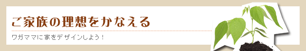 自由設計の注文住宅