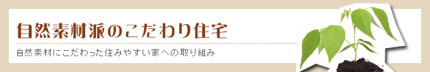 自然素材派のこだわり住宅