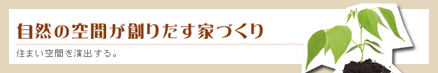 標準装備